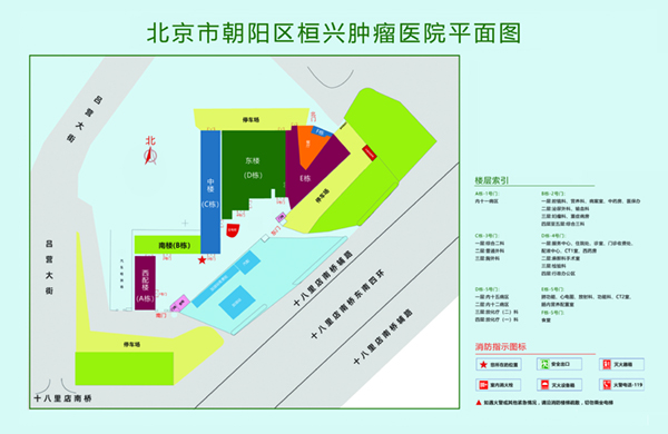 黄片网站日逼北京市朝阳区桓兴肿瘤医院平面图